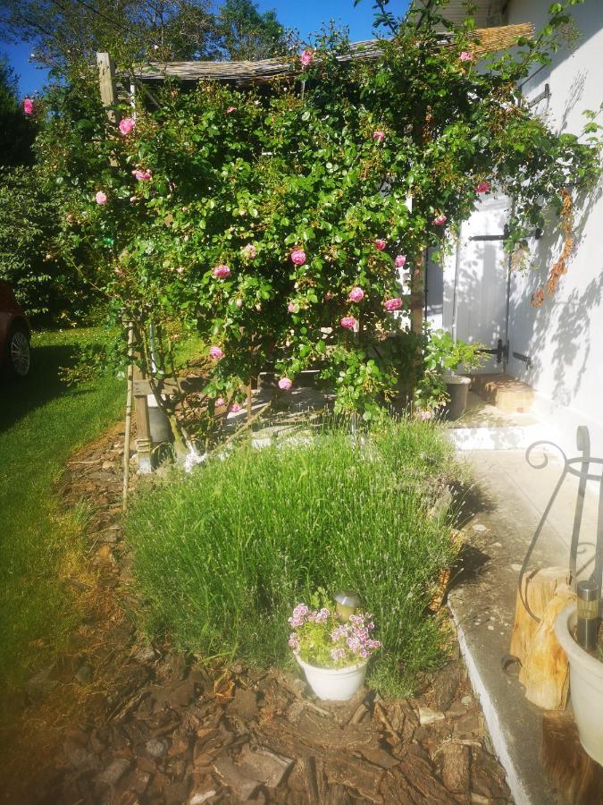 Bed and Breakfast Au Balaway Louey Екстер'єр фото